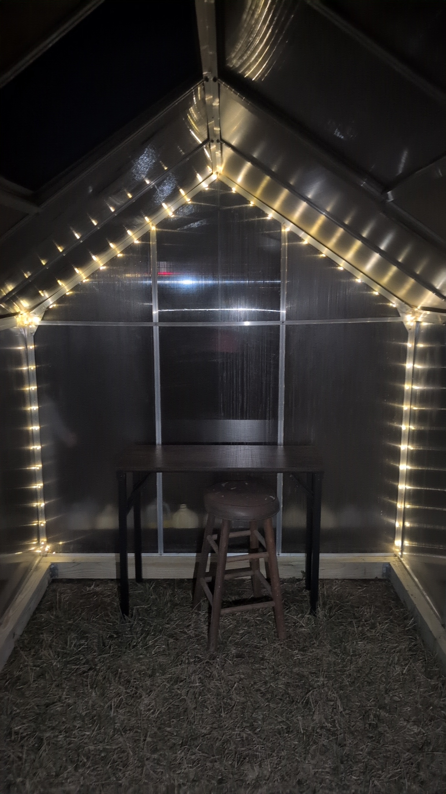 Greenhouse glowing with string lights at night