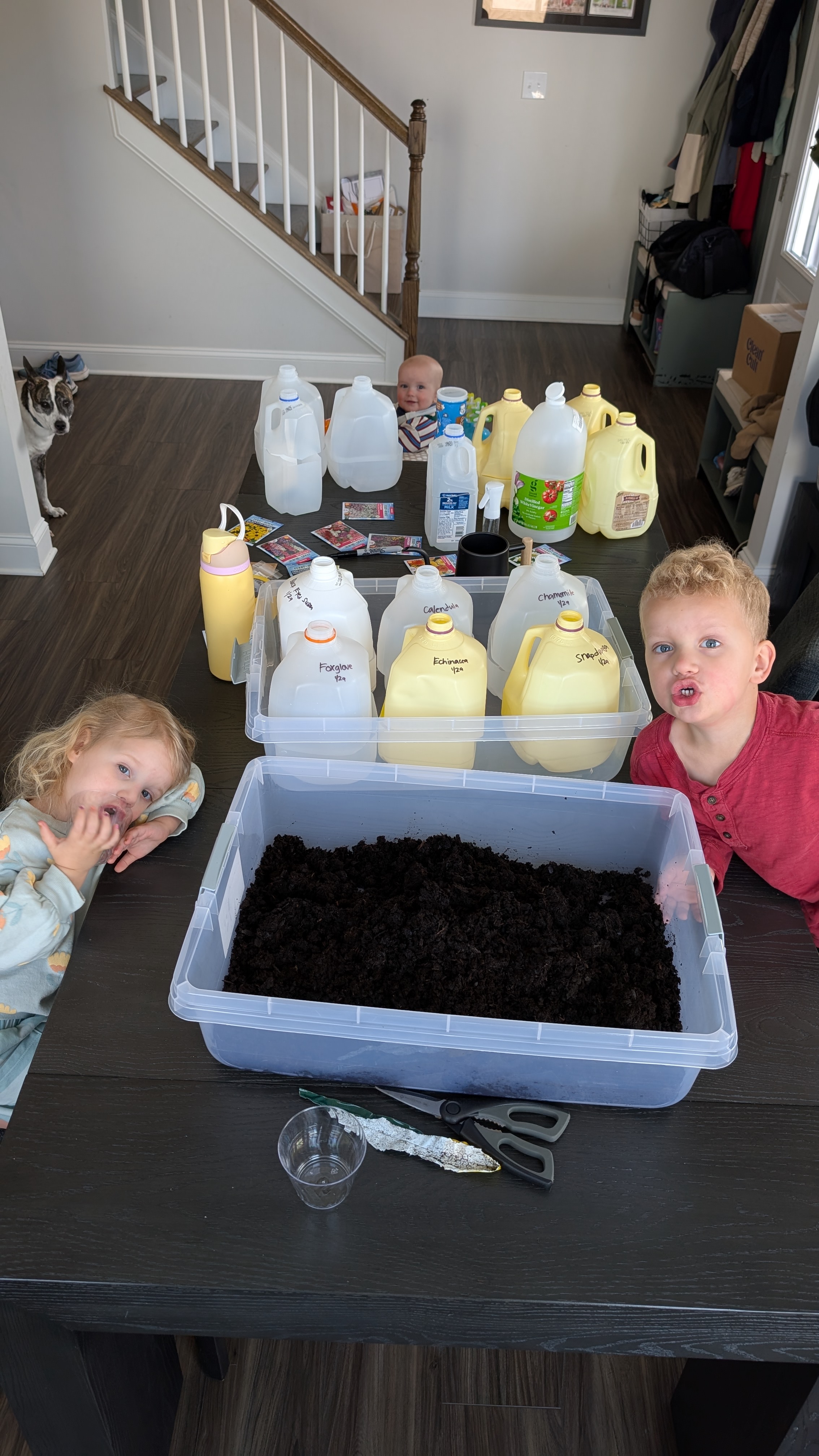 The kids helping with winter sowing at the kitchen table