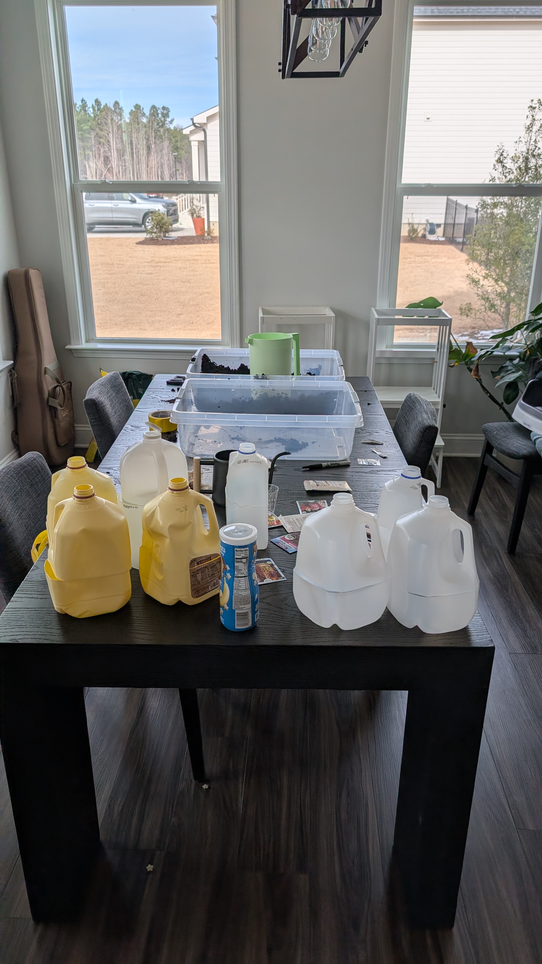 The kitchen table covered in milk jugs, soil, and seed packets — winter sowing day